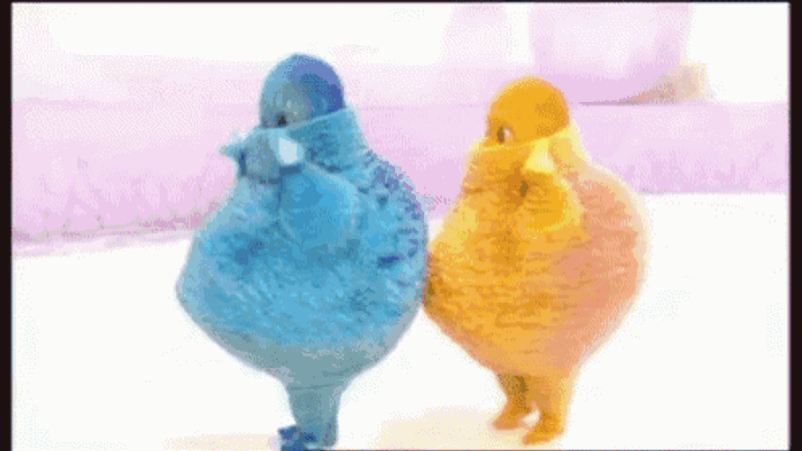 Boobah Funny GIF