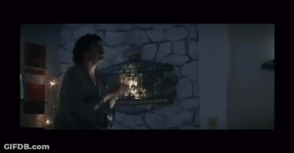 Boogie Nights Alfred Molina Dancing GIF