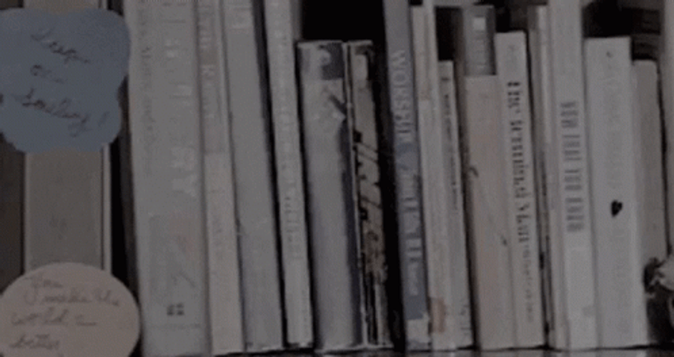 Book Aesthetic Library GIF