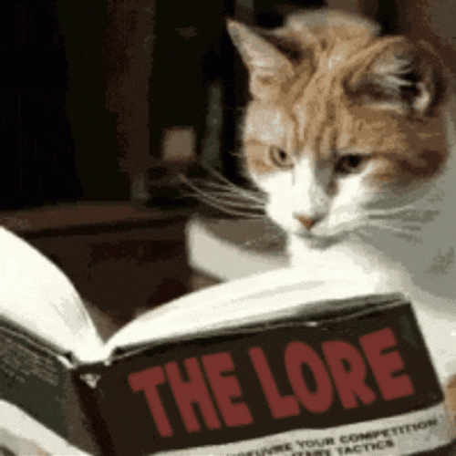 Book Cat GIF