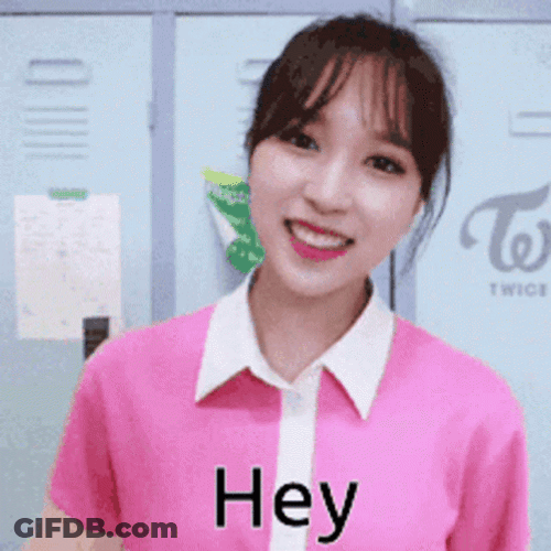 Book Em Danno Twice Greet GIF