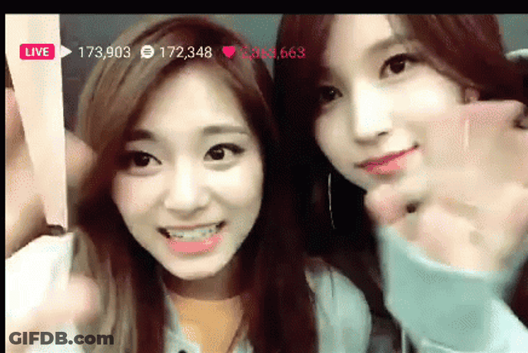Book Em Danno Wave Twice Tzuyu GIF