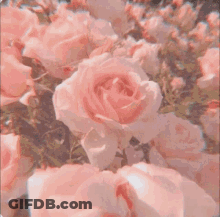 Book On Bed Next To Pillow GIF