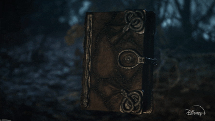 Book Opening To Princess Story Page GIF