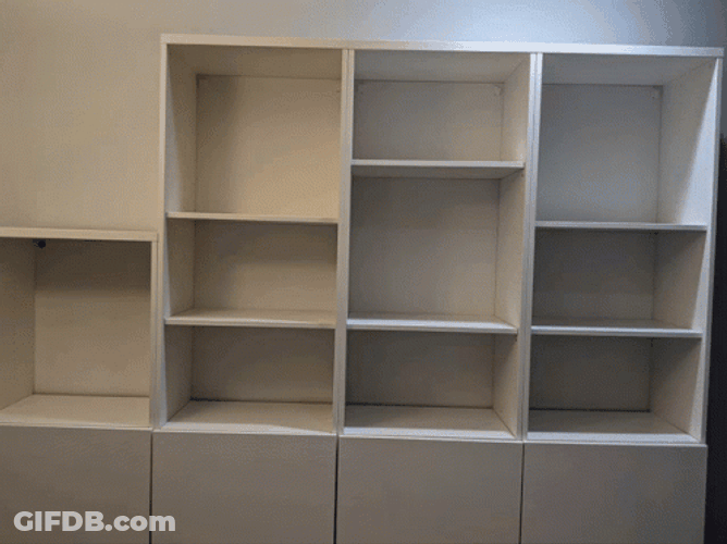 Book Shelve Hoarders GIF