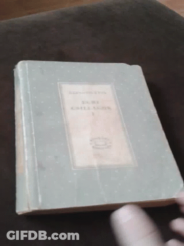Book Titled A Brief History On Couch GIF