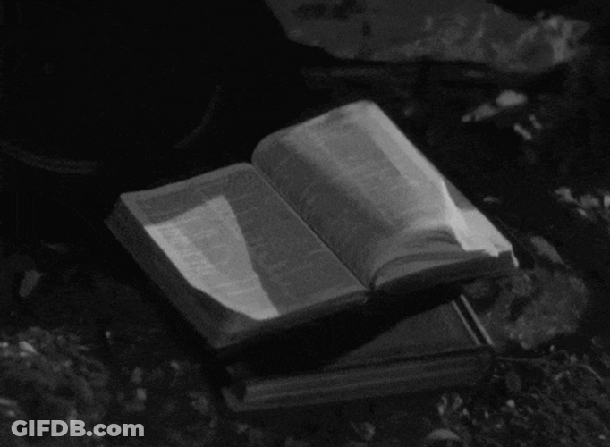 Book Wind GIF