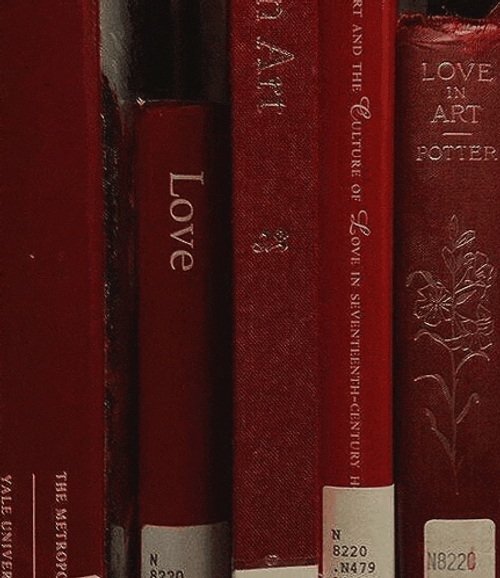 Books Meme GIF