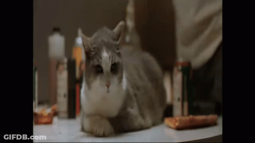 Boondock Saints Macmanus Twins And Rocco Attacked GIF