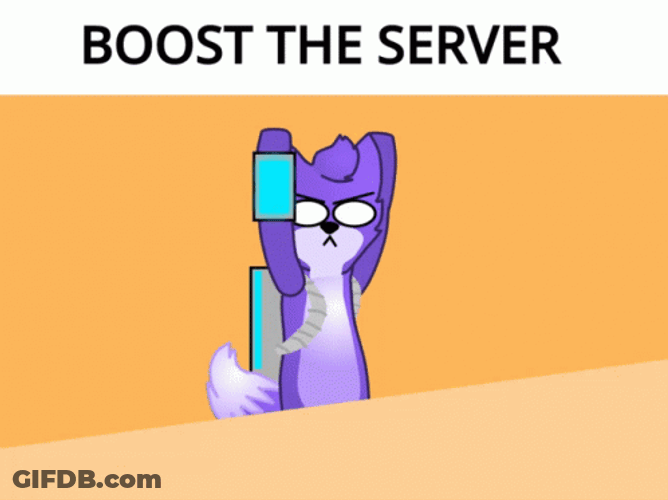 Boost The Server Purple Cat GIF