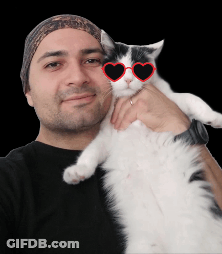 Booting In Emergency Mode 18 Percent GIF