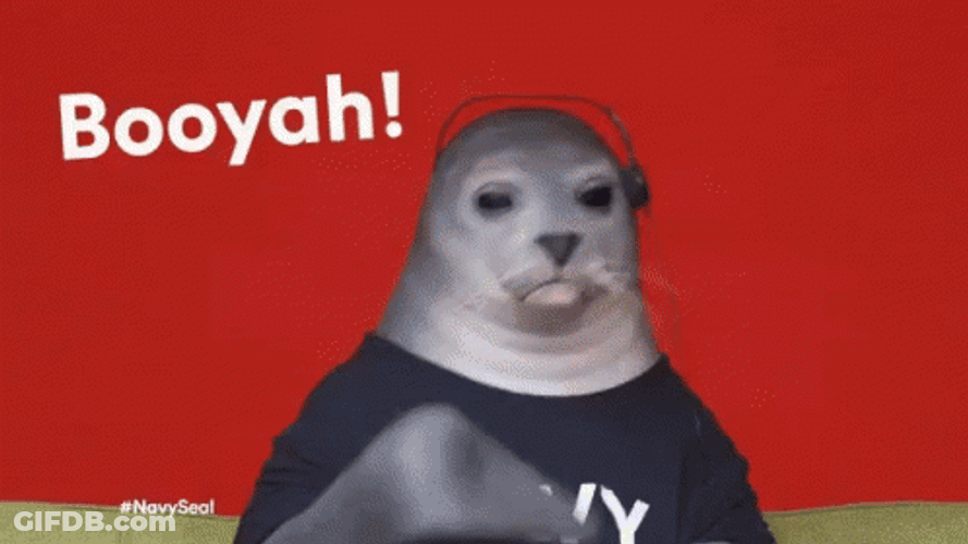 Booyah Dolphin Memes GIF