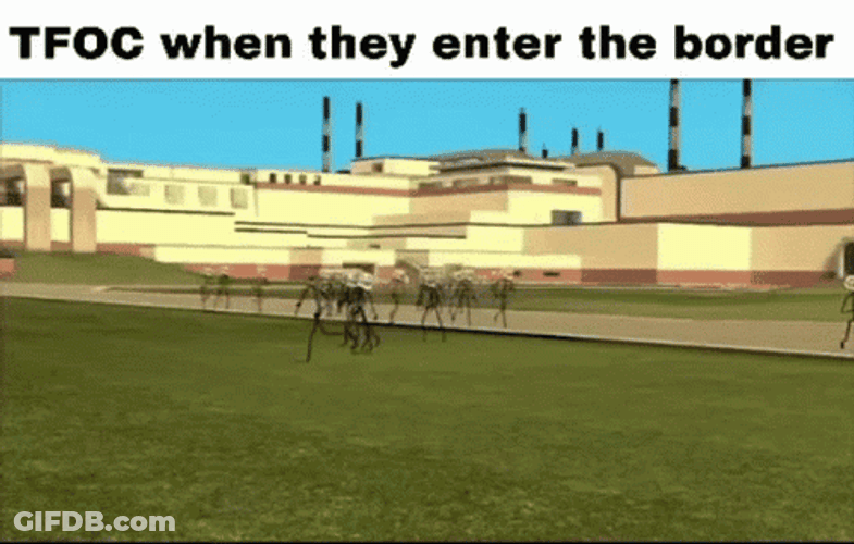 Border Chaos Running Wild Meme GIF