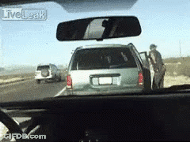 Border Patrol Conducting Vehicle Inspection GIF