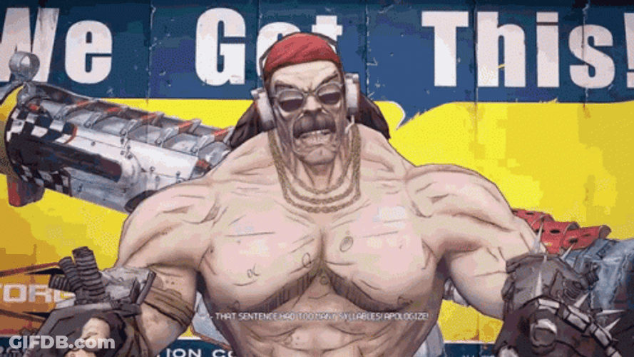 Borderlands We Got This GIF