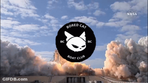 Bored Cat Boat Club Logo Rocket Launch GIF