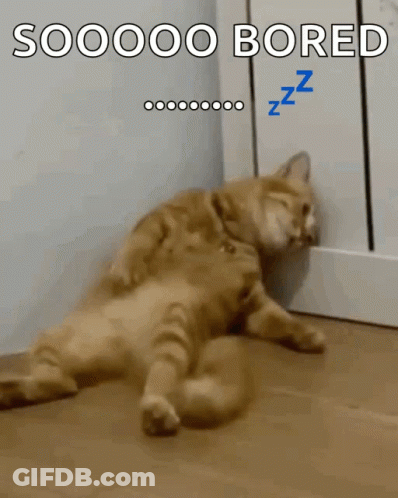Bored Cat Lying On Floor GIF