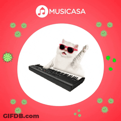 Bored Cat Piano Plays With Glasses On GIF