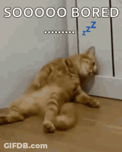 Bored Cat Sleeping On Floor GIF