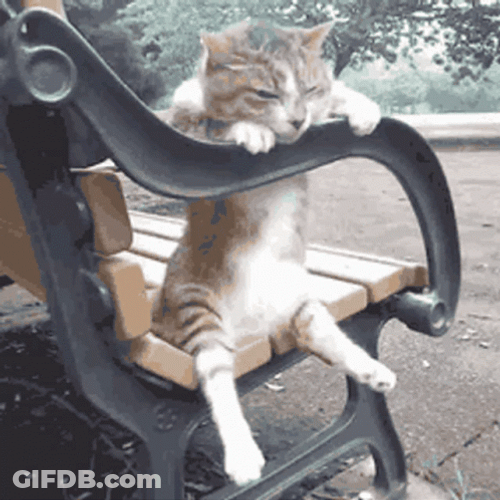 Bored Sad Cat Sitting Down GIF