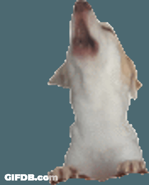 Boris1 Sticker GIF
