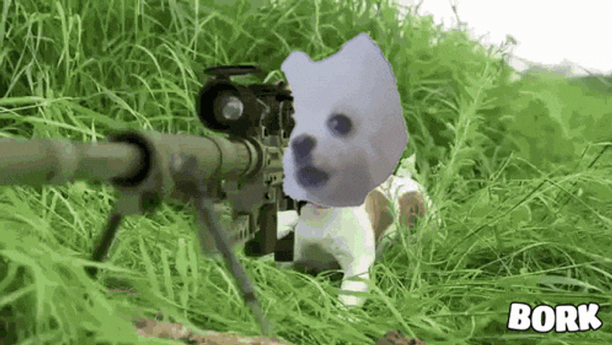 Bork Bonk GIF