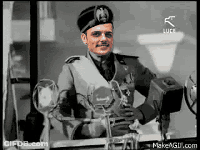 Borrello GIF