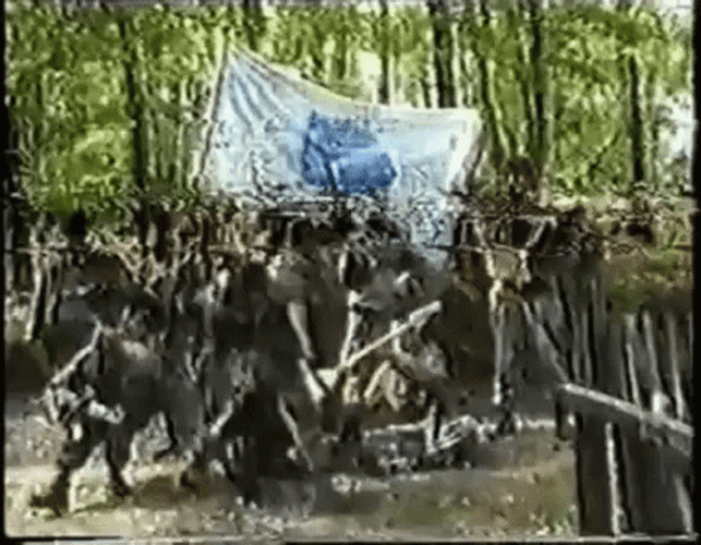 Bosnia And Herzegovina Army Pose GIF