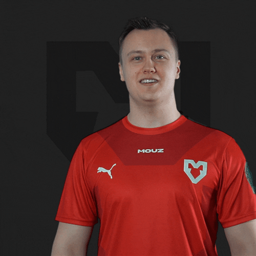 Bosnia And Herzegovina Dennis Benthin Nielsen GIF