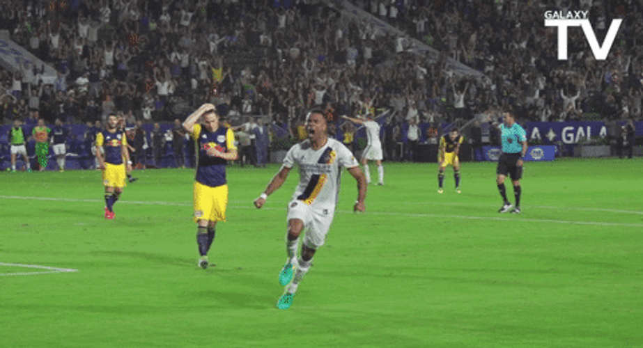 Bosnia And Herzegovina Goal GIF