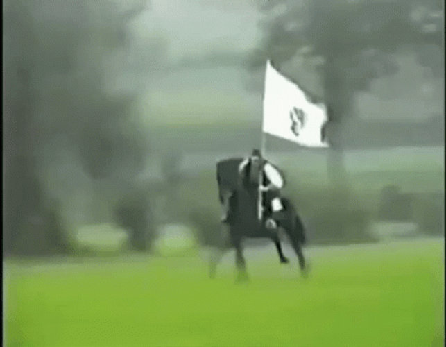Bosnia And Herzegovina Horsemen GIF