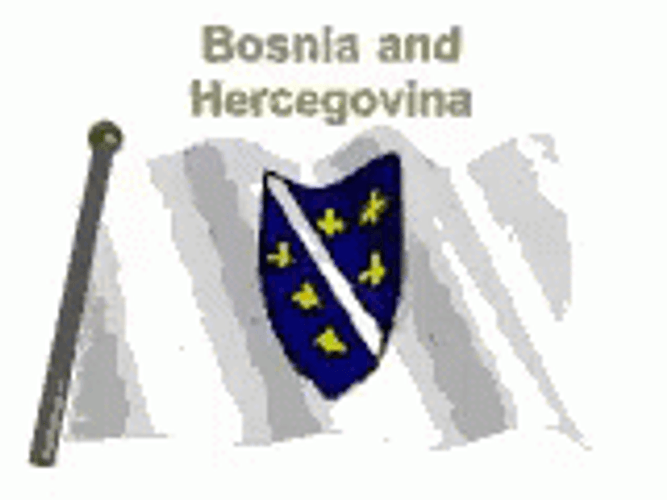 Bosnia And Herzegovina Transparent Flag GIF