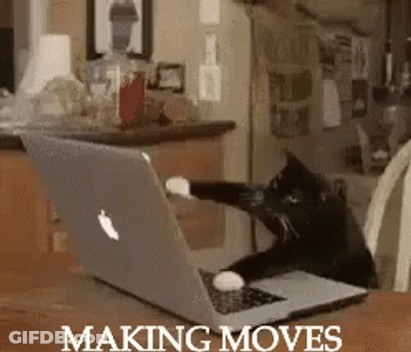 Boss Makes A Dollar I Make A Dime Cat Making Moves GIF