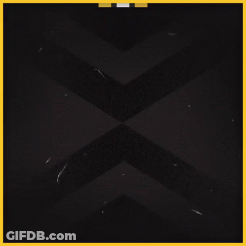 Boston Bruins Logo GIF