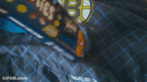 Boston Bruins Logo On Blue And Black Blanket GIF