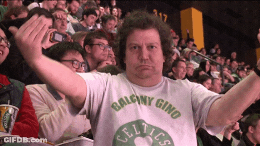 Boston Celtics Excited Fan Jumping GIF