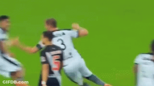 Botafogo Vasco GIF