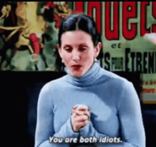 Both Idiots Courteney Cox GIF
