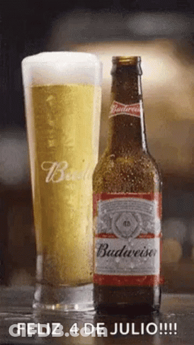 Bottle Of Budweiser Next To Glass Of Beer GIF