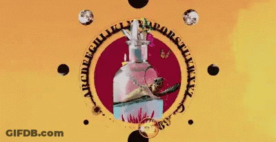 Bottle Of Cabernet Sauvignon Beside Glass GIF