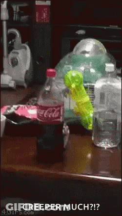 Bottle Of Coca Cola Next To Water GIF