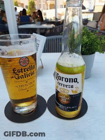 Bottle Of Corona And Glass Of Estrella Galicia GIF