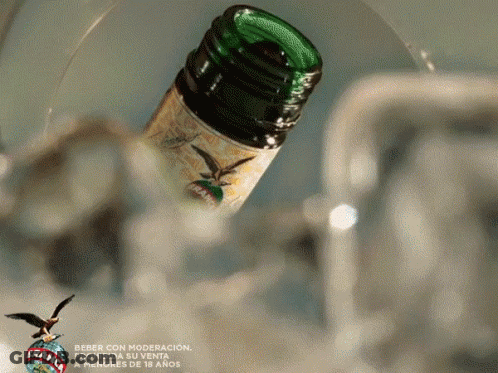 Bottle Of France Poured Into Glass With Bird GIF