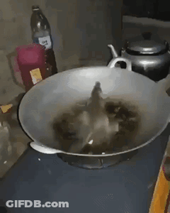 Bottle Of Long Drink Beside Pan Of Food GIF