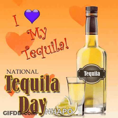 Bottle Of Tequila With Shot Glass GIF