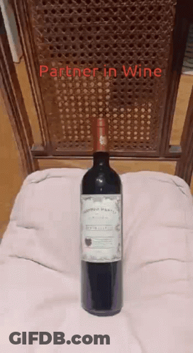 Bottle Of Wine Next To Partner In Wine Pillow GIF