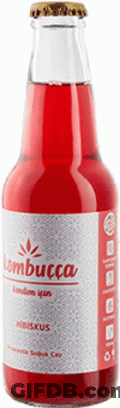 Bottled Red Kombucha Tea GIF