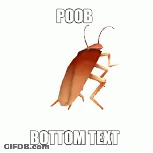 Bottom Text Dancing Cockroach GIF