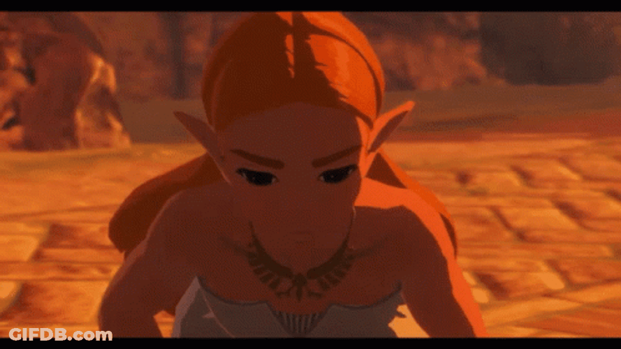 Botw Angry Zelda GIF