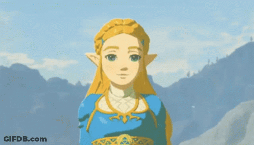 Botw Beautiful Princess Zelda GIF